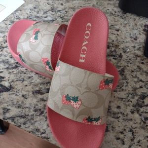 Coach Slides